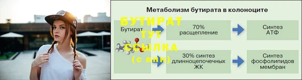 СК Волоколамск
