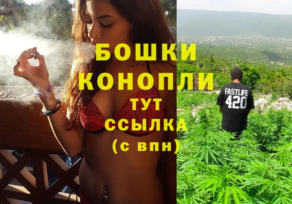 СК Волоколамск