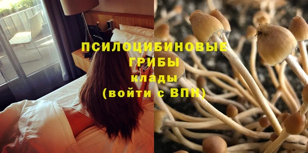 СК Волоколамск
