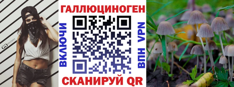 Галлюциногенные грибы мухоморы Гаврилов Посад