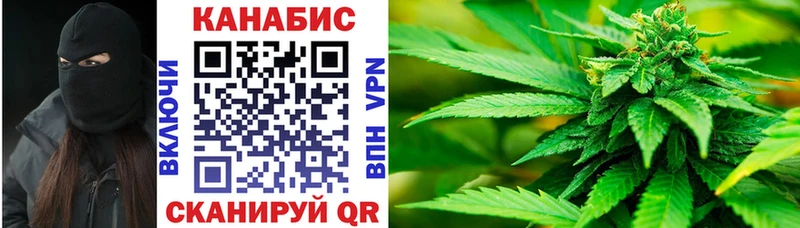 Конопля Bruce Banner  купить  цена  Гаврилов Посад 